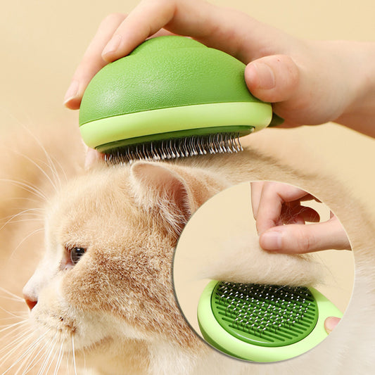 Avocado shaped pet grooming brush with stainless steel pins for cat and dog coat care