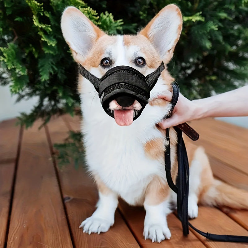 Breathable mesh pet muzzle on dog allowing water drinking and safe walking