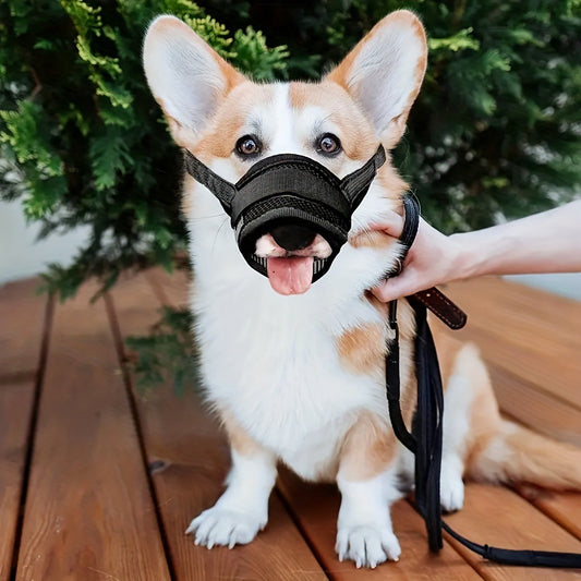Breathable mesh pet muzzle on dog allowing water drinking and safe walking