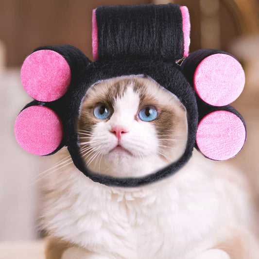 Funny curly hair pet dress up hat worn by a cat for photo costume